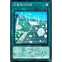 遊戯王カード 薔薇恋人 ノーマル シークレット スレイヤーズ Dbss バラ ラヴァー 効果モンスター 地属性 植物族 ノーマル Dbss Jp039 N カードミュージアム Yahoo 店 通販 Yahoo ショッピング