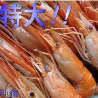 川エビ Mサイズ 1kg 500gが2パック カワエビ 川海老 かわえび 海老 お酒 ビール おつまみ 揚げ物 唐揚げ 353 海産王子 通販 Yahoo ショッピング