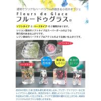 固めるハーバリウム 2液 フルードゥグラス ソフト 500ml 主剤 硬化剤 シリコンモールド プリザーブドフラワー ハーバリウム フラワーアレンジメント 自然硬化 Www Wearefromdust Org