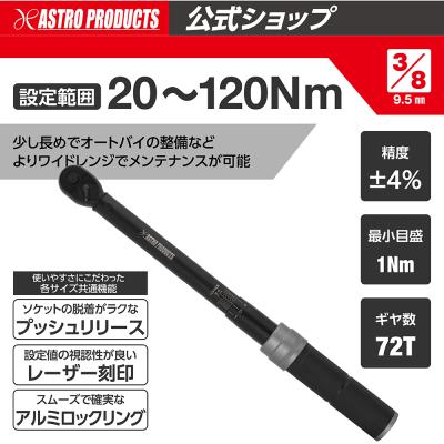 専用３点 コーチボルト RS PRO 3/8-16 スチール x 7 1/2インチ | RS