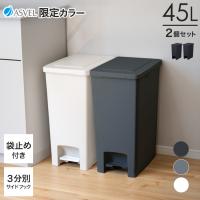ゴミ箱 おしゃれ キッチン 45リットル 2個セット 限定カラー ペダル スリム アスベル ダストボックス 分別 45l 45L 大容量 蓋付き 資源ゴミ ごみ箱 ランクイン