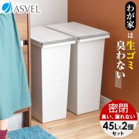 ゴミ箱 おしゃれ キッチン 臭わない 密閉 プッシュ スリム 45リットル ２個 セット アスベル ASVEL EBAN 分別 45l 45L 大容量 蓋付き 資源ゴミ ごみ箱 | アスベル ヤフー店