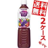 送料無料 カゴメ 野菜生活100 ベリーサラダ 720mlペットボトル 30本(15本×2ケース) [野菜ジュース エナジールーツ] | アットコンビニ ヤフー店