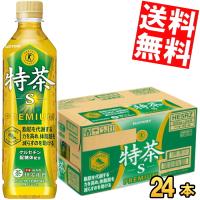 送料無料 サントリー 緑茶 伊右衛門 特茶 500mlペットボトル 24本入 (特保 トクホ 特定保健用食品) (体脂肪を減らす) | アットコンビニ ヤフー店