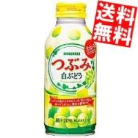 送料無料 サンガリア つぶみ白ぶどう 380gボトル缶 24本入 | アットコンビニ ヤフー店