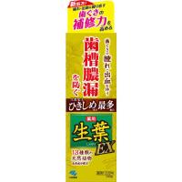 【3点セット】生葉EX 100g 薬用ハミガキ 小林製薬 | アットツリーヤフー店