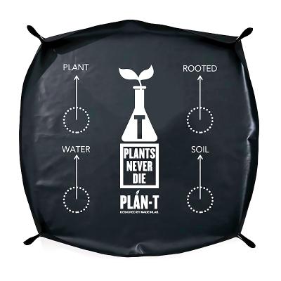 亀甲竜（園芸用品） | 花、ガーデニング のおすすめ人気商品一覧 通販