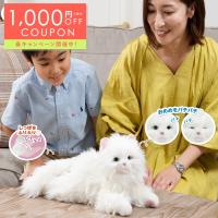 猫 ぬいぐるみ ペットロボット 喋る しっぽふりふり あまえんぼう子ねこちゃん 音声認識 本物の鳴き声 リアル 多機能 操作簡単 ふわふわ 親密度で変わる | 便利な雑貨屋アットケア