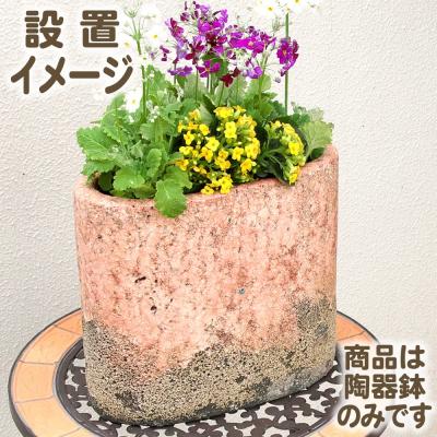 ガーデンガーデンYahoo!ショッピング店 - 園芸用品｜Yahoo!ショッピング