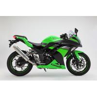 BEAMS D415-53-P6S Ninja250 ニンジャ '13~ R-EVO スリップオン ステンレス ビームス マフラー | アトラスダイレクトショップ