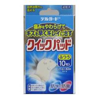 【送料無料・まとめ買い×3個セット】阿蘇製薬 デルガード クイックパッド ふつうサイズ10枚入 | アットライフ