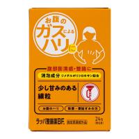 【送料無料】大幸薬品 ラッパ整腸薬BF 24包入 指定医薬部外品 1個 | アットライフ