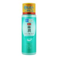 【送料無料】ロート製薬 肌研 極潤 薬用スキンコンディショナー 170ml 1個 | アットライフ