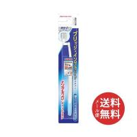 デンタルプロ ポイントブラシ 1本入 歯ブラシ 1個【メール便送料無料】 | 日用品・生活雑貨の店 カットコ