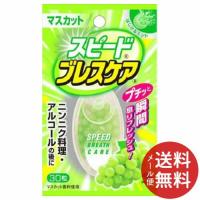 小林製薬 スピードブレスケアマスカット 30粒入 1個 (配送おまかせ) | 日用品・生活雑貨の店 カットコ