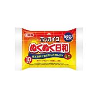 興和 ホッカイロ ぬくぬく日和 貼らない ミニ 10個入（4987067829408）×10点セット | 日用品・生活雑貨の店 カットコ