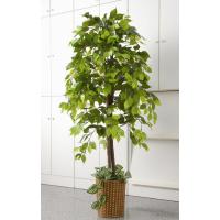 フェイクグリーン　人工観葉植物　ベンジャミン TAN-609（人工観葉植物 大型 おしゃれ 風水 引っ越し祝い プレゼント インテリア 造花 お手入れ不要） | アット・マーク