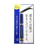 メンズ眉墨 ブラック  眉毛の白髪隠し 眉毛 眉 白髪隠し 白髪カバー アイブロー アイブロウ メンズコスメ 男性用コスメ | アトム屋美容本舗