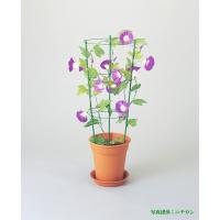 ニチカン フラワー支柱 中 ６０ｃｍ つる支柱 あさがお 5 6号鉢向け リングが移動できるのでツルが巻き易い ガーデニング 園芸資材 122 Nichikan Flowerpole M60cm ガーデン屋 Yahoo 店 通販 Yahoo ショッピング