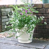 スペイン鉢 オリビア 31ｃｍ 白い植木鉢 植木鉢 テラコッタ 陶器鉢 素焼き鉢 おしゃれ 園芸 ガーデニング バラにも似合う 935 Se 1325 31 ガーデン屋 Yahoo 店 通販 Yahoo ショッピング