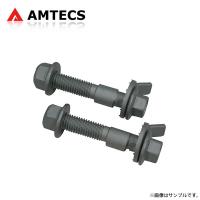 AMTECS アムテックス SPC EZカムXR キャンバー調整ボルト 10mm フロント用 フィアット チンクエチェント 2007〜2019 | オートクラフト