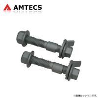 AMTECS アムテックス SPC EZカムXR キャンバー調整ボルト 10mm フロント用 フィアット パンダ 1980〜2003 FWD ボルト径確認必要 | オートクラフト