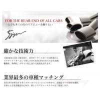 ゴジゲン マフラーカッター ラフェスタ B30 | オートヴィレッジ