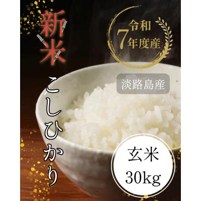 淡路島 米（お米の品種：コシヒカリ）の商品一覧 通販 - Yahoo