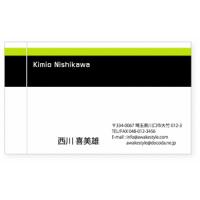 モノクロ 名刺 印刷 名刺 作成 左にベタ塗りを配置したデザイン 100枚単位 名刺ケース1個付属 ビジネス 趣味 プライベート お店 会社 ncmy12 アウェイクスタイル 通販 yahoo ショッピング