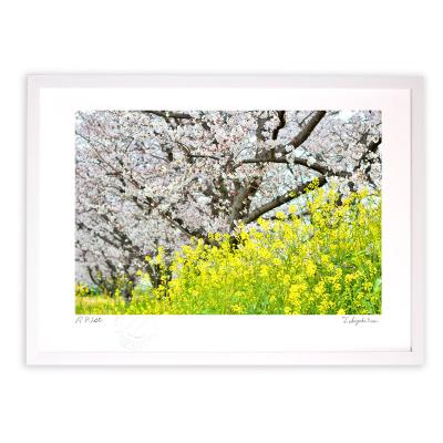 菜の花 絵画の商品一覧 通販 - Yahoo!ショッピング 菜の花 絵画の商品一覧 通販 - Yahoo!ショッピング