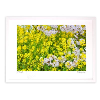 菜の花 絵画の商品一覧 通販 - Yahoo!ショッピング 菜の花 絵画の商品一覧 通販 - Yahoo!ショッピング