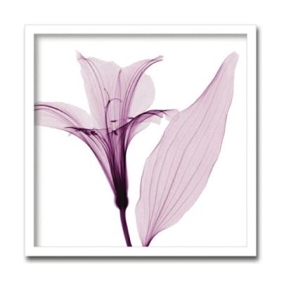 アルストロメニアの日本画 花 アルストロメリア（日本画）｜絵画｜美術、工芸品 | 楽器