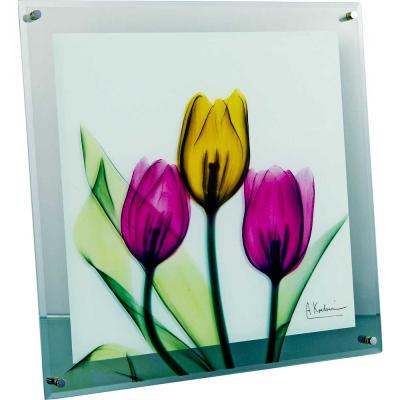 レントゲン 商品一覧 - 日本唯一の風景専門店 あゆわら - 売れ筋通販