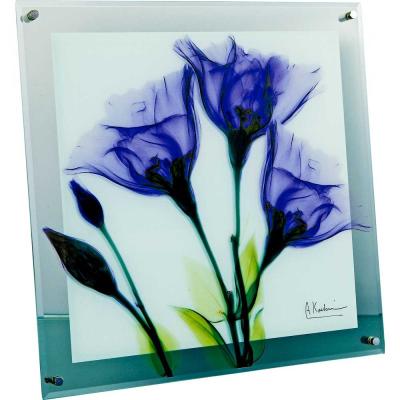 レントゲン 商品一覧 - 日本唯一の風景専門店 あゆわら - 売れ筋通販