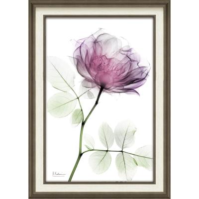 レントゲン 商品一覧 - 日本唯一の風景専門店 あゆわら - 売れ筋通販