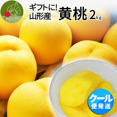 黄金桃のおすすめ人気ランキングTOP100 - Yahoo!ショッピング