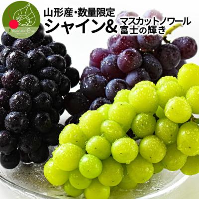 富士の輝き ぶどうのおすすめ人気ランキングTOP100 - Yahoo!ショッピング