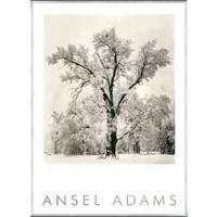 アンセルアダムス　額装品 ヴィンテージ ANSEL ADAMS 額入りポスター - アンティーク