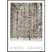 アンセルアダムス ポスターのおすすめ人気商品一覧 通販 - Yahoo