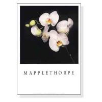 azポスター - ロバート メイプルソープ｜Yahoo!ショッピング