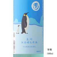 日本酒 玉川アイスブレーカー 純米吟醸無濾過生原酒 500ml 京都府 木下酒造 | 美好屋酒店