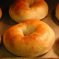ベーグル 自家製天然酵母使用 天然酵母パン 