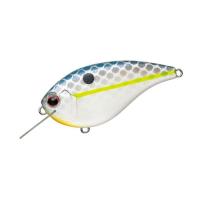 エバーグリーン　フラットフォース　EVERGREEN　FLAT FORCE　 | バックラッシュYahoo!店