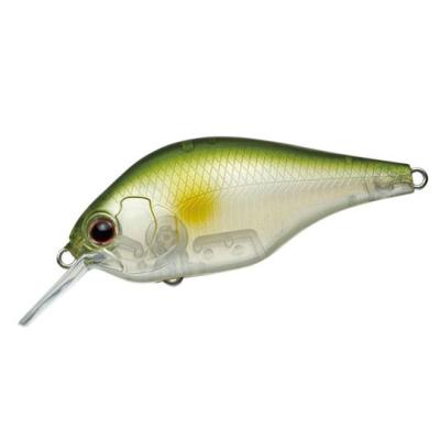 エバーグリーン ゼルクのおすすめ人気商品一覧 通販 - Yahoo!ショッピング