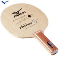 MIZUNO ミズノ 卓球 ラケット フォルティウス FT 18TT210 | ボールジャパン