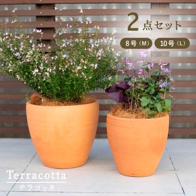 テラコッタのおすすめ人気商品一覧 通販 - Yahoo!ショッピング