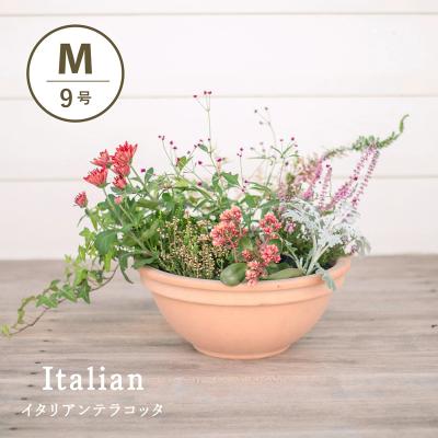 テラコッタ 鉢 9号（植木鉢）｜鉢、プランター｜園芸用品 | 花