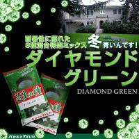 芝生 種 寒地型 耐暑性に優れた特選ミックス ダイヤモンドグリーン 1kg入り 芝生の植え方 | 芝生のことならバロネスダイレクト