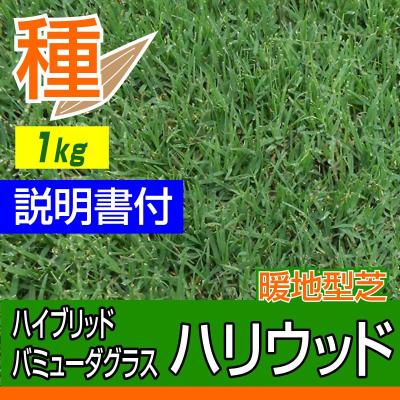 芝生のことならバロネスダイレクト - 芝生の種・苗｜Yahoo!ショッピング