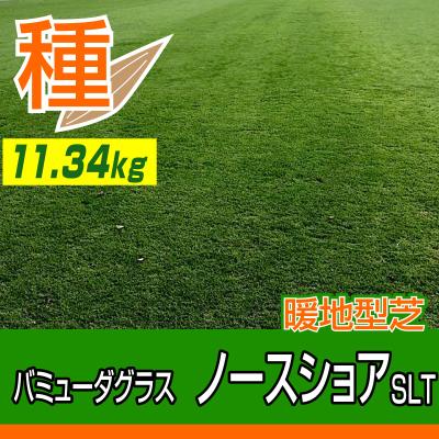 芝生のことならバロネスダイレクト - 種｜Yahoo!ショッピング